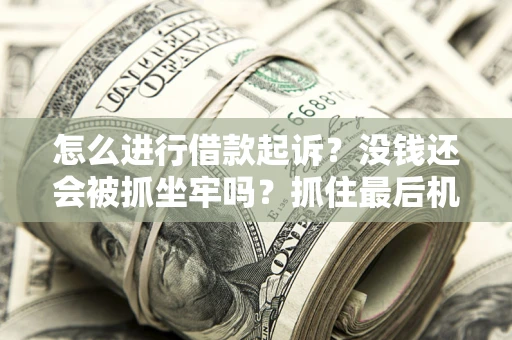 北京怎么进行借款起诉？没钱还会被抓坐牢吗？抓住最后机会！