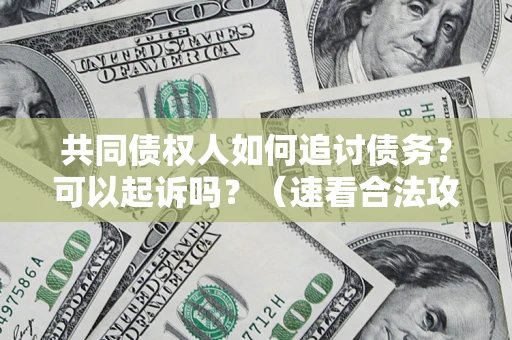北京共同债权人如何追讨债务？可以起诉吗？（速看合法攻略）